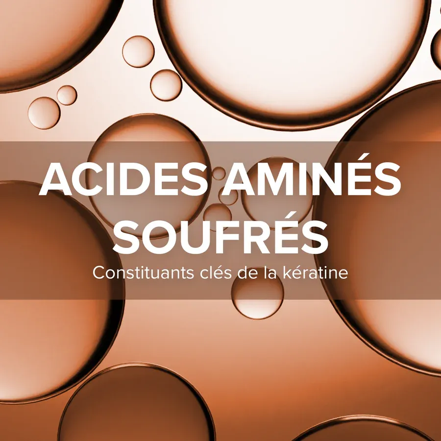 ARKOPHARMA FORCAPIL FORTIFIANT KERATINE+ - 60 GÉLULES-4.webp