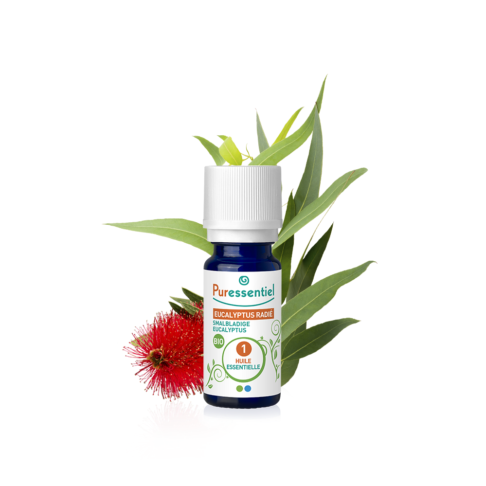 PURESSENTIEL HUILE ESSENTIELLE EUCALYPTUS RADIE BIO 10ML